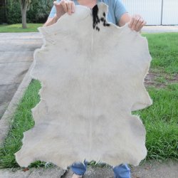 34" x 28"...