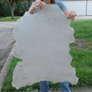 34" x 28" B-Grade Goat Hide 