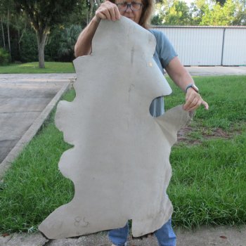 43" x 28-1/2" B-Grade Goat Hide 