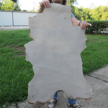 41" x 28-1/2" Goat Hide 