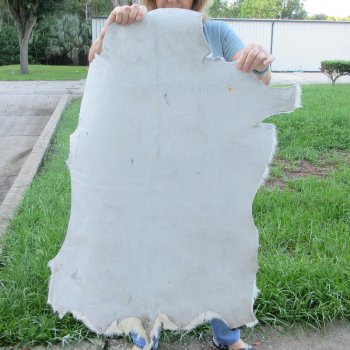 38" x 30-1/2" Goat Hide 