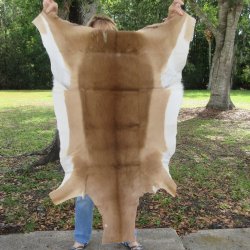 48-1/2L x 34-1/2W B...