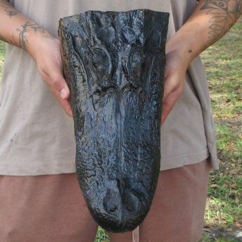 14 inch Alligator Head 