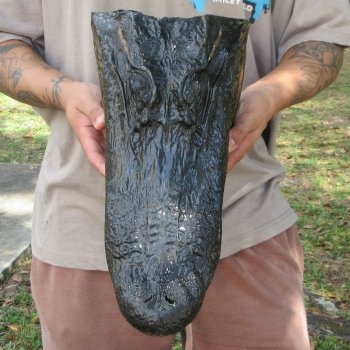 14 inch Alligator Head 