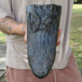 11 inch Alligator Head 