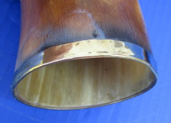 Burnt colored Cattle/Cow Horn with brass trim - 14 inches to 18 inches - 2 pcs @ $11.00 each; 12 pcs @ $9.90 each