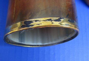 Burnt colored Cattle/Cow Horn with brass trim - 14 inches to 18 inches - 2 pcs @ $11.00 each; 12 pcs @ $9.90 each