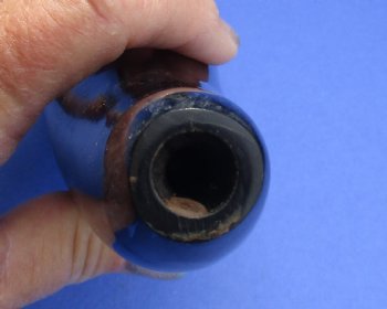 Polished Cow Blowing Horn 14-18 inches - 2 pcs @ $11.50 each; 12 pcs @ $10.25 each