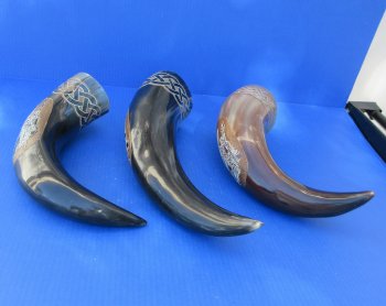 Hand-Carved Valkyrie Viking Drinking Cow Horn - Burnt Accent (Wholesale, 16"-19") - 2 pcs @ $20.00 each; 8 pcs @ $19.00 each