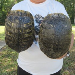 Two piece 9" t...