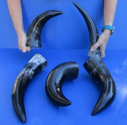 Five piece lot of P...