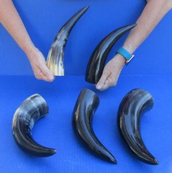 Five piece lot of P...