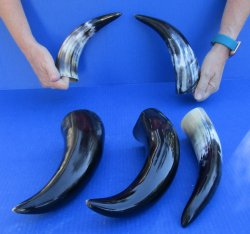 Five piece lot of P...