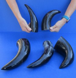 Five piece lot of P...