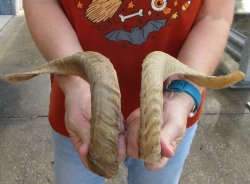15" Matching P...
