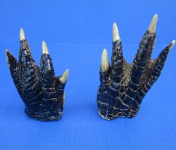 Large Alligator Feet 3 to 4-1/2 inch (5 @ $3.50 ea, 30 @ $3 ea)