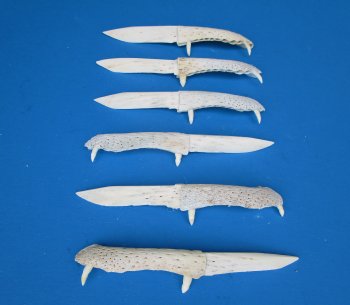 Alligator Jaw Bone Knives 6 to 7 inches - 2 pcs @ $10.00 each; 12 pcs @ $9.00 each