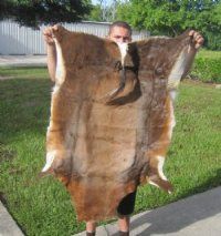 Blesbok Skins Hides