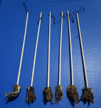 Alligator Foot Back Scratchers  20" - 22" (5 pc, 25 pc)