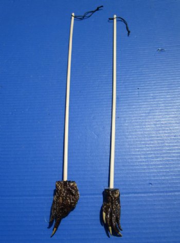 Alligator Foot Back Scratchers  20" - 22" (5 pc, 25 pc)