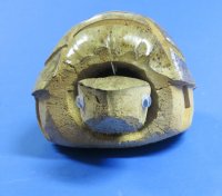 Wholesale Bobble Head Carved Coconut Turtle - 18 pcs @ $3.15 each