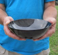 Wholesale Polished buffalo horn bowl measuring 6" long by 3" deep.  You are buying a buffalo bowl similar to the ones pictured - Packed: 2 pcs @ $12.00 each; Packed: 12 pcs @ $10.50 each