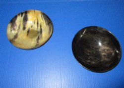 Wholesale Polished buffalo horn bowl measuring 8" long by 2-1/2 to 2-3/4" deep - $15.00 each; 6 pcs @ $13.25 each