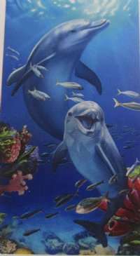 Wholesale 30" x 60" Fiber Reactive Velour Dolphins Underwater Scene Beach Towels with hanger made of 100% cotton - Case of 12 @ $7.50 each