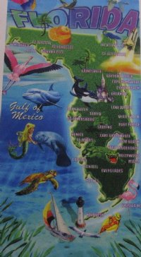 Wholesale 30" x 60" Fiber Reactive Velour Florida Map Beach Towels with hanger made of 100% cotton - Case of 12 @ $7.50 each