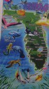 Wholesale 30" x 60" Fiber Reactive Velour Florida Map Beach Towels with hanger made of 100% cotton - Case of 12 @ $7.50 each