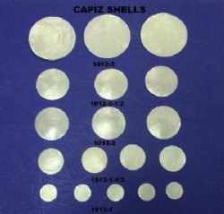 Capiz Shells in Bulk