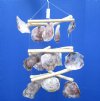 Wholesale 16 to 18 inches inches 3 layered Triangle Driftwood and Saddle Oyster Chandeliers for Sale, Placuna Chandelier -  Case of 12 @ $7.00 each