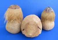 Wholesale Carved and Painted Coconut Monkeys with Maracas/Lollipop   - Bag of 15 @ $3.50 each
