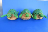 7 - 8 inches Wholesale Green Painted and Carved Coconut Turtle - Box of 6 @ $4.50 each