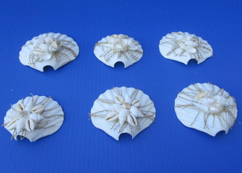 Wholesale cut Irish deep shells for making seashell night lights