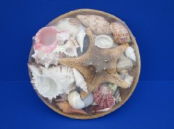 Wholesale 10 inch shell basket filled with assorted natural shells and jungle starfish - Minimum 6 @ $5.90 each