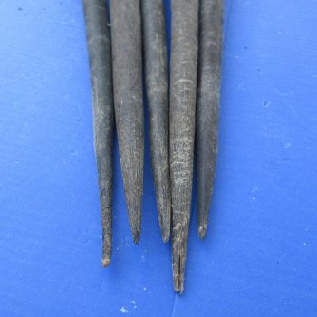 29" to 32" Gemsbok Horns, 5 piece lot - $110