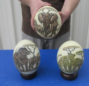 Scrimshaw Ostrich Eggs