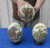 Scrimshaw Ostrich Eggs
