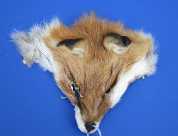 Wholesale Red Fox Face Pelts 6-1/2 inches to 8-1/2 inches - 2 pcs @ $5.50 each; 12 pc @ $4.95 each