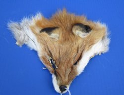 Wholesale Red Fox Face Pelts 6-1/2 inches to 8-1/2 inches - 2 pcs @ $5.50 each; 12 pc @ $4.95 each