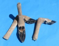 Wholesale bent L shape deer feet 8 to 11 inch -  2 @ $8.00 each; 12 or more @ $7.00 each
