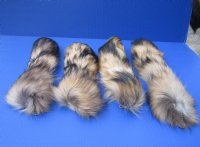Wholesale Tanned Finn Raccoon tails 13 to 16 inches long - 2 pcs @ $8.50 each; Packed: 8 pcs @ $7.65 each