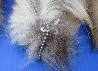 Wholesale Tanned Finn Raccoon tails 13 to 16 inches long - 2 pcs @ $8.50 each; Packed: 8 pcs @ $7.65 each