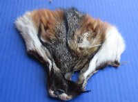 Wholesale American Grey Fox Face Pelts for sale measuring between 5-1/2 and 6-1/2 - You will receive one similar to the picture - Packed: 3 pcs @ $3.75 each; Packed: 18 pc @ $3.25 each
