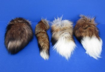 Wholesale Tanned Red Fox tails 12 to 13 inches long.  - 2 pcs @ $8.50 each;  8 pcs @ $7.75 each