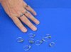 Wholesale Fossil Tooth ring wrapped with a silver colored wire - Packed: 20 pcs @ $1.00 each; Packed: 80 pcs @ $.90 each