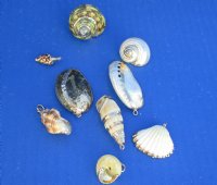 Wholesale Electroplated yellow gold trimmed assorted shell pendants - Packed: 100 pcs @ $.65 each; Packed: 500 pcs @ $.58 each