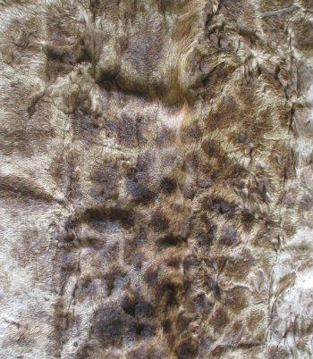 Small Authentic African Giraffe Hide Rug - Hand-Selected Statement Piece - $1600 (Adult Signature Required)