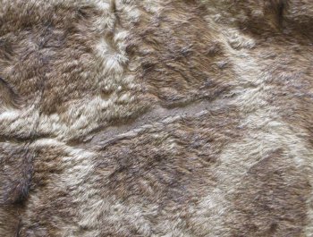 Small Authentic African Giraffe Hide Rug - Hand-Selected Statement Piece - $1600 (Adult Signature Required)